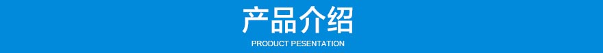 NE系列板链斗式提升机